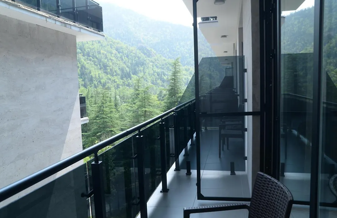 Borjomi Likani Health & Spa Centre-1